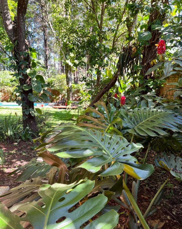 Villa Casa Jaguar à Puerto Iguazú Extérieur photo