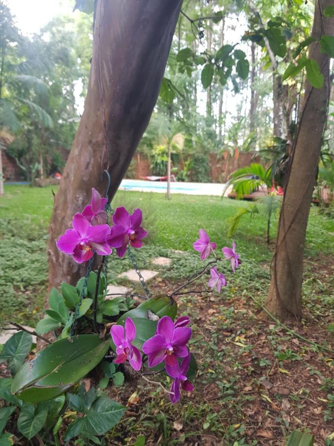 Villa Casa Jaguar à Puerto Iguazú Extérieur photo